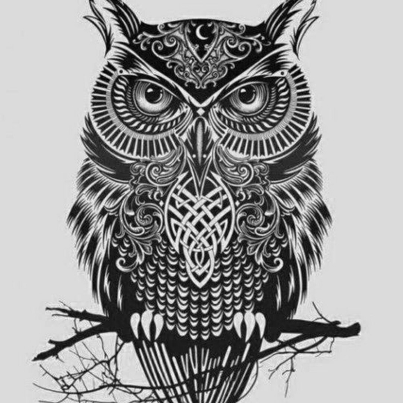 Meet your Posher, Rene - Picture 1 of 1